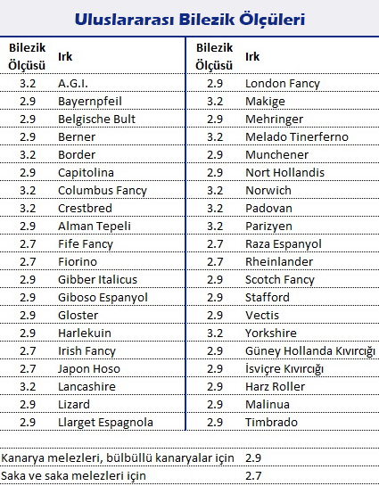 Uluslararası Bilezik Ölçüleri