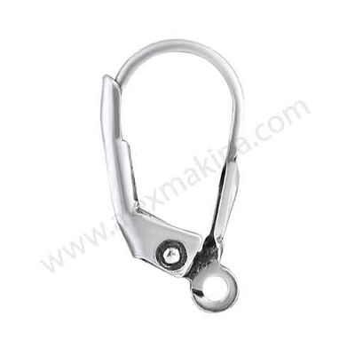 Sterling Silver Lever Back Earring No:1