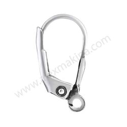  - Sterling Silver Lever Back Earring No:1
